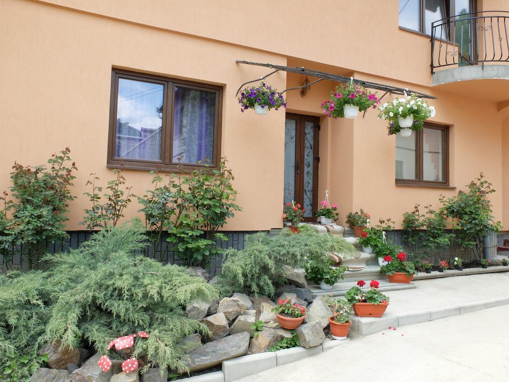 Dupa Apa La Razvan Sighetu Marmaţiei Exterior foto